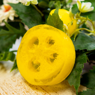 loofah soap