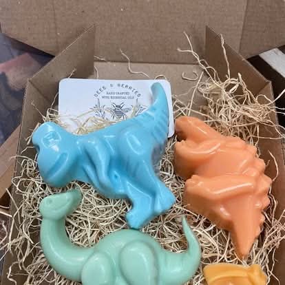 Dinosaur Soaps